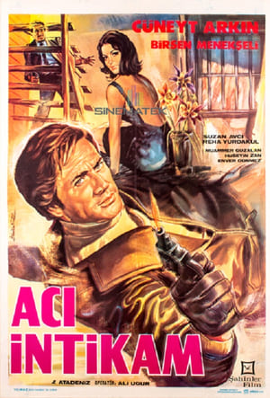 Acı İntikam poster