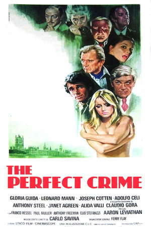 The Perfect Crime