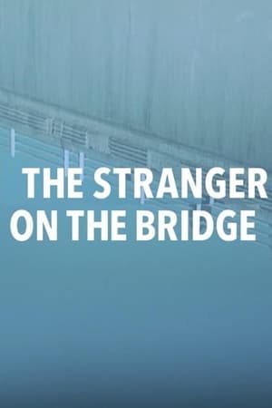 Poster The Stranger on the Bridge 2015