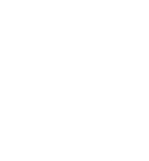 Logo Taylah Made Films