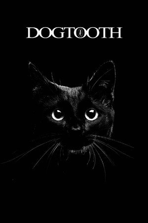 Dogtooth 146