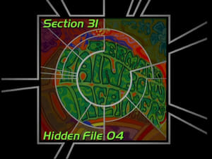 Image Section 31: Hidden File 04 (S03)