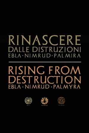 Poster Palmyra: Rising from the Ashes 2017