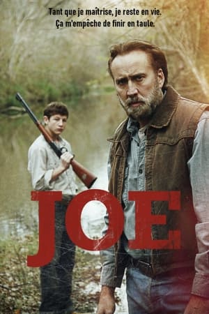 Poster Joe 2014