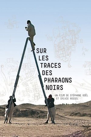 Image Sur les traces des pharaons noirs