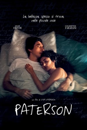 Poster Paterson 2016