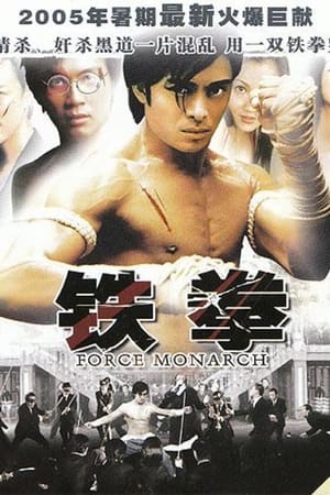 Poster 龍拳不敗 2003