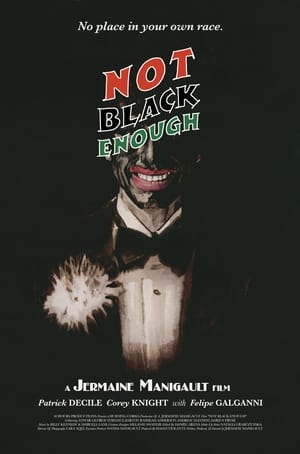 Poster Not Black Enough (2020)