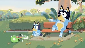 Bluey ปี 1 ตอนที่ 11