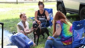 Pit Bulls and Parolees Sound of Silence