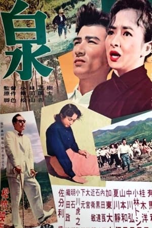 Poster Источник 1956