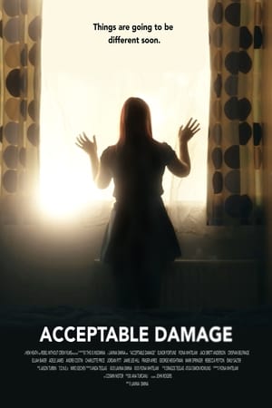 Poster Acceptable Damage (2019)