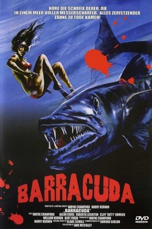 Poster Barracuda 1978