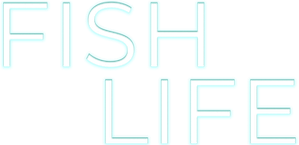 Fish Life