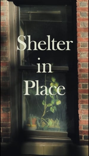 Poster di Shelter in Place