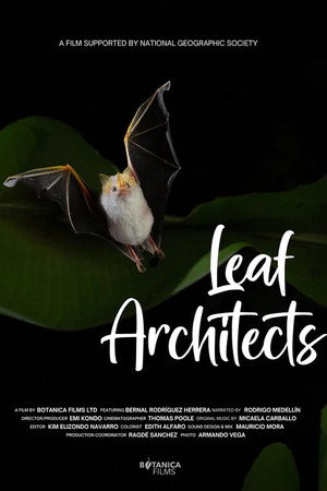 Poster Leaf Architects