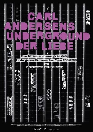 Poster Carl Andersens Underground der Liebe (2015)