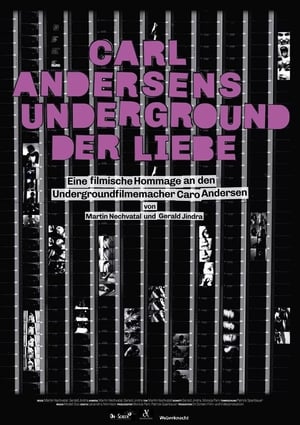 Poster Carl Andersens Underground der Liebe 2015