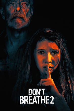 Don’t Breathe 2 (O Homem nas Trevas 2) 2021 Torrent Legendado Download - Poster