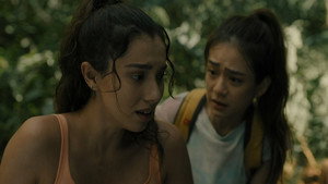 Island 26