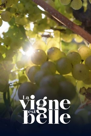 La vigne est belle 2022