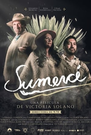 Poster Sumercé 2019