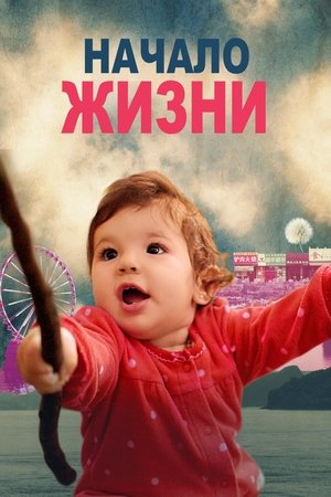 Начало Жизни 2016