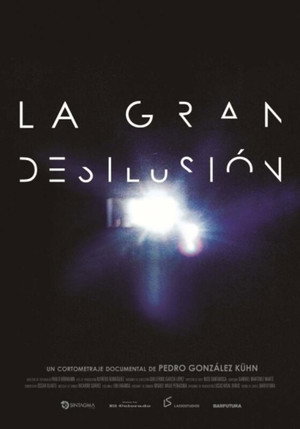 La gran desilusión (2013)