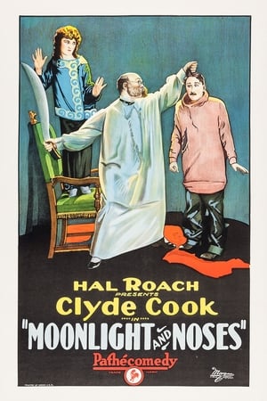 Poster Moonlight and Noses (1925)