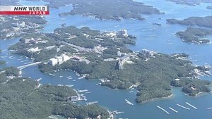 Journeys in Japan: 15×27