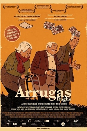 Poster Arrugas - Rughe 2011