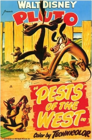 Poster Pests of the West (1950)