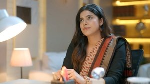 Raisinghani VS. Raisinghani: 1×17