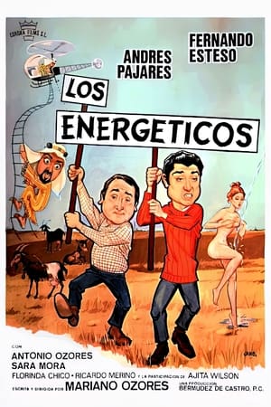 Poster Los energéticos 1980
