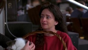 Um Maluco na TV: 1×14