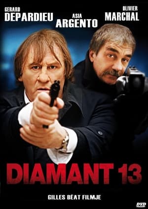 Poster Diamant 13 2009