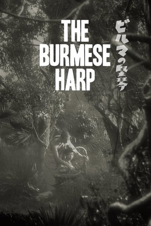 Image Den burmesiska harpan