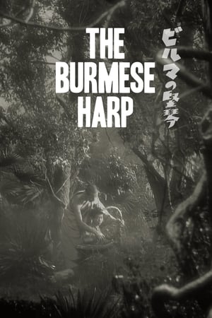 Image Burma Harpı