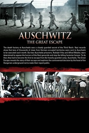 Poster Auschwitz: The Great Escape (2007)