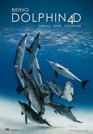 Being Dolphin 4D poster