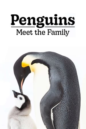 Image Penguins: Meet the Family