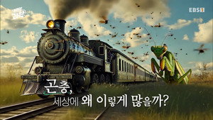 Épisode 9