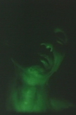 ときめき、ドッキン