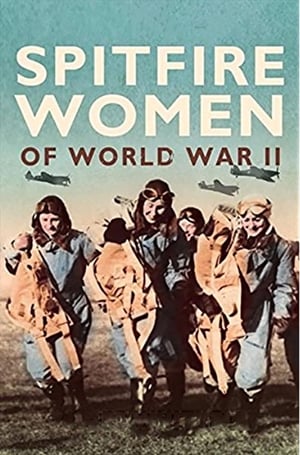 Poster Spitfire Women (2010)