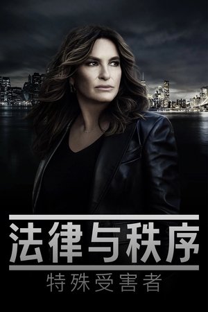 Image 法律与秩序：特殊受害者