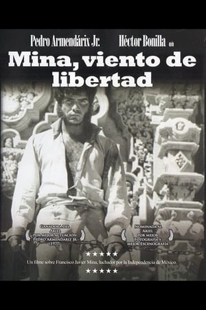 Poster Mina, viento de libertad 1977