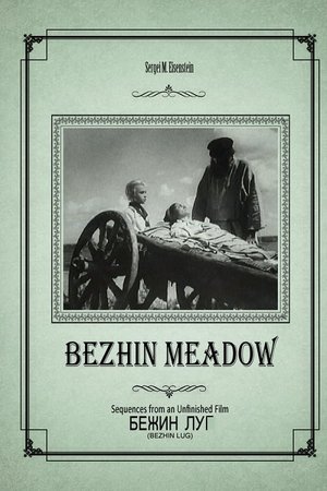 Bezhin Meadow: Sequences from an Unfinished Film