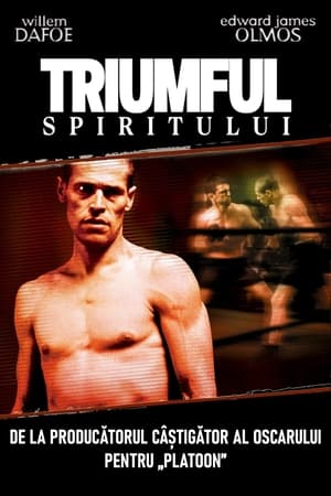 Poster Triumph of the Spirit 1989