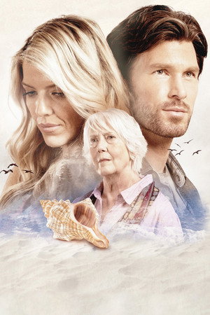 The Shell Collector 5