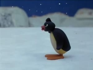 Pingu: 1×15